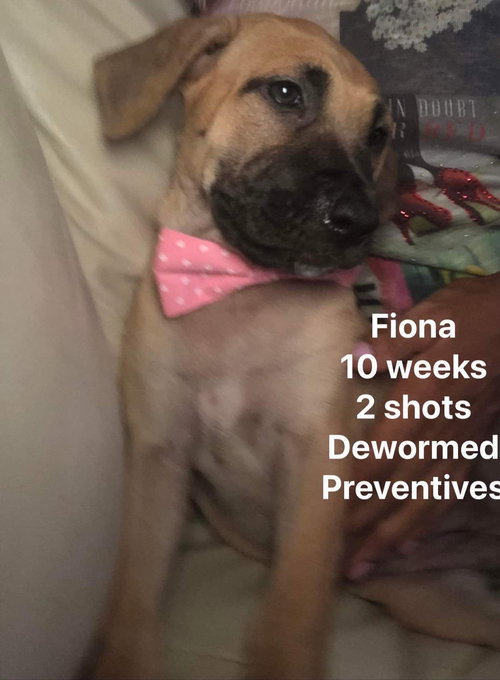 Fiona