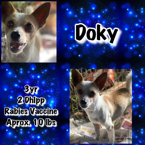 Doky