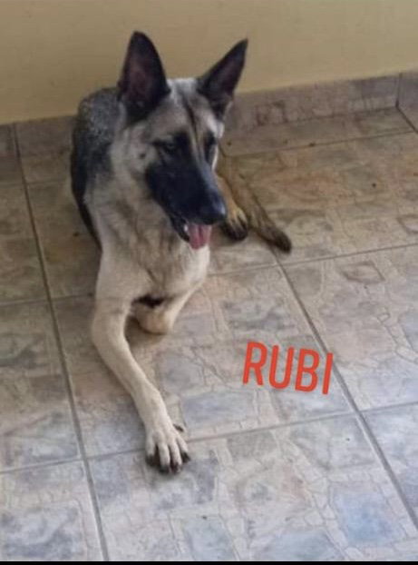 Rubi