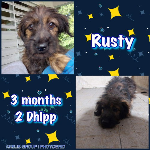 Rusty