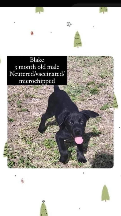 Blake