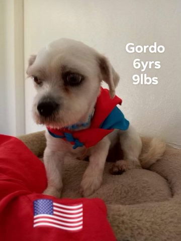 Gordo