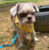 Murphy
