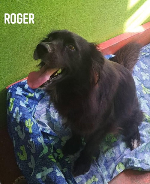 Roger