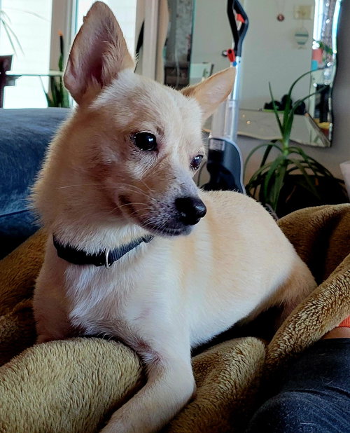 Diego