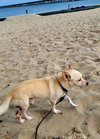 Diego
