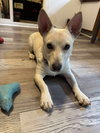 Benny
