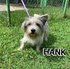 Hank