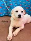 Jenny