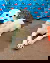 Jenny