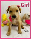 Sally