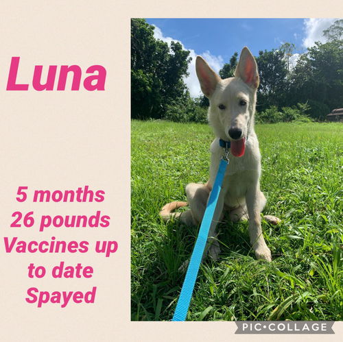 Luna