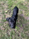 Lenny