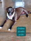 Cristina
