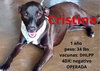 Cristina