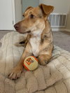 Penny