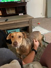 Penny