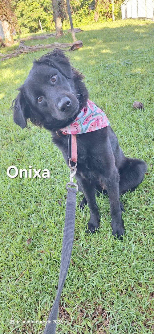 Onixa