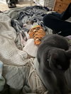 Leniel/Otto