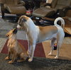 Leniel/Otto