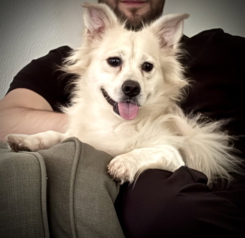 Mauro