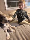 Jack / Nikola