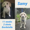Samy/ Benson
