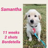 Samantha/ Birdie