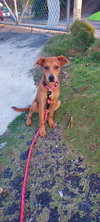 Zimba