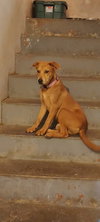 Zimba