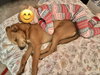 Zimba