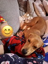 Zimba