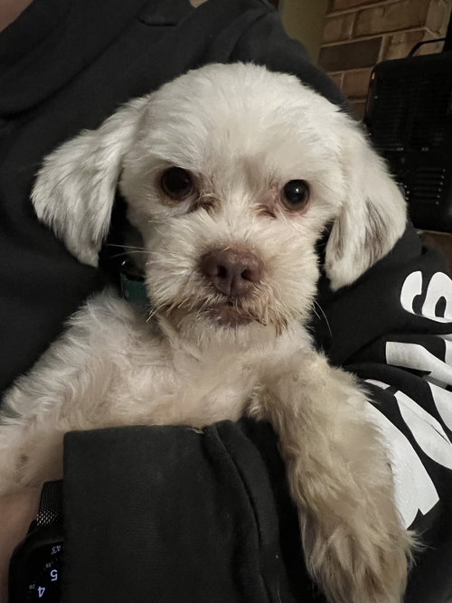 Chester