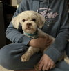 Chester
