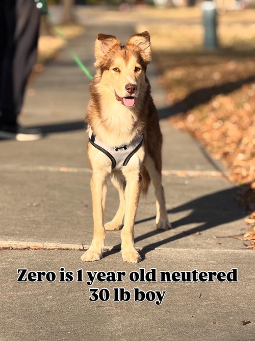 Zero