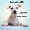 Camacho