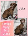 Julia