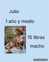 Joaquin
