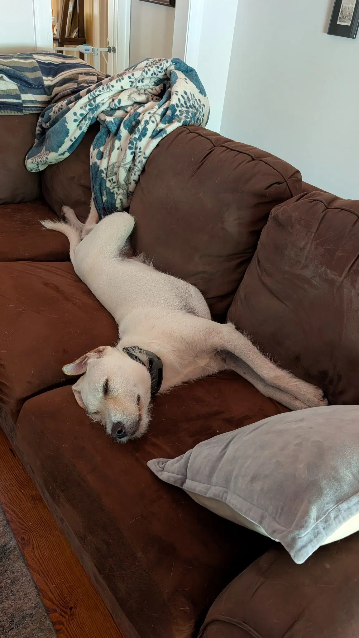 Cooper image 3