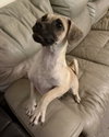 Benito