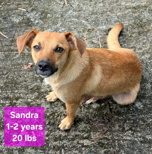 Sandra