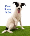 Kian