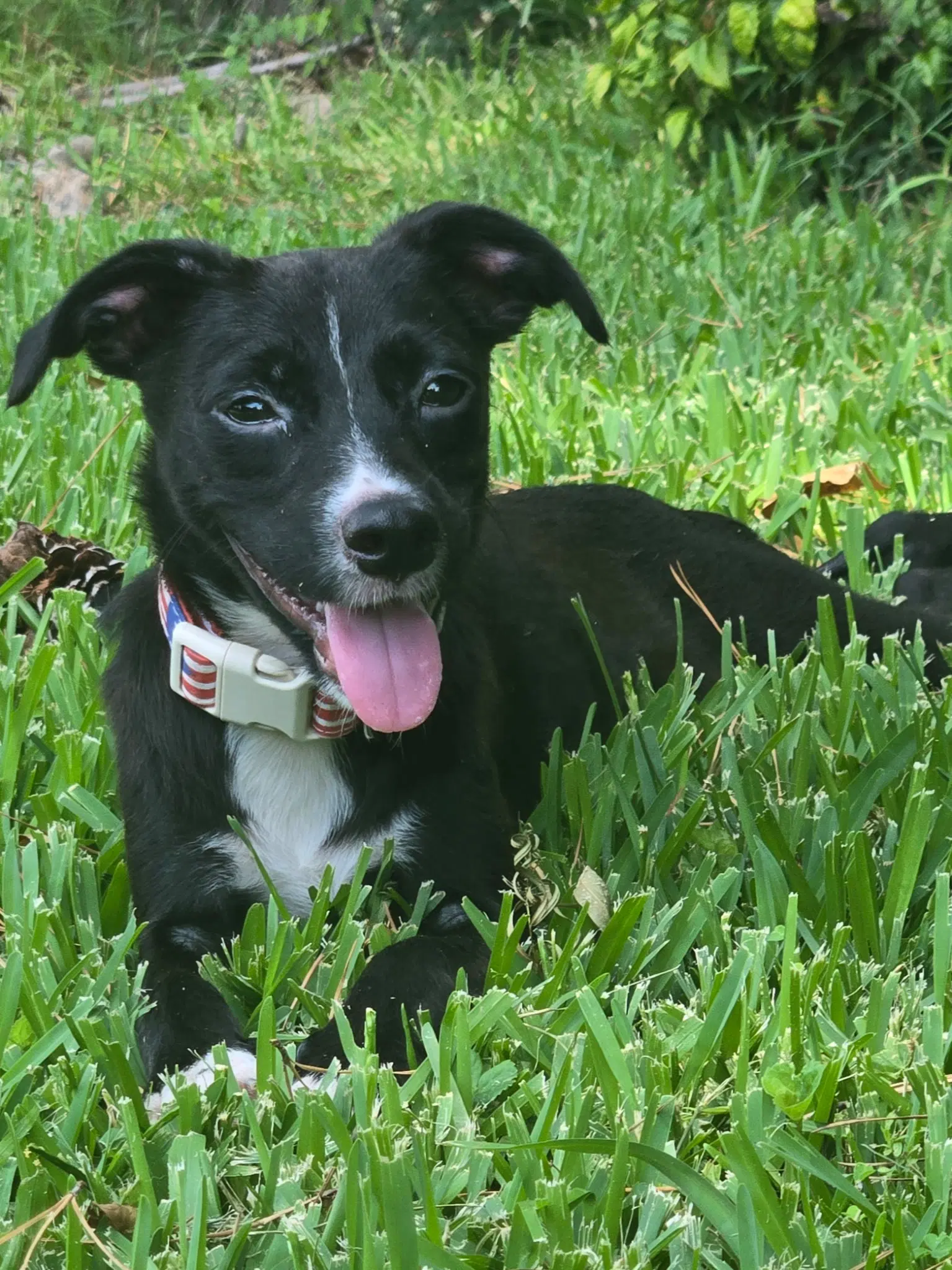 Gwen image 2