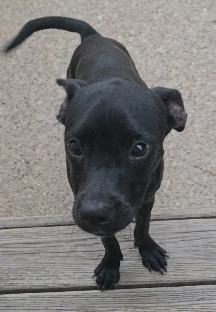 Gia image 2