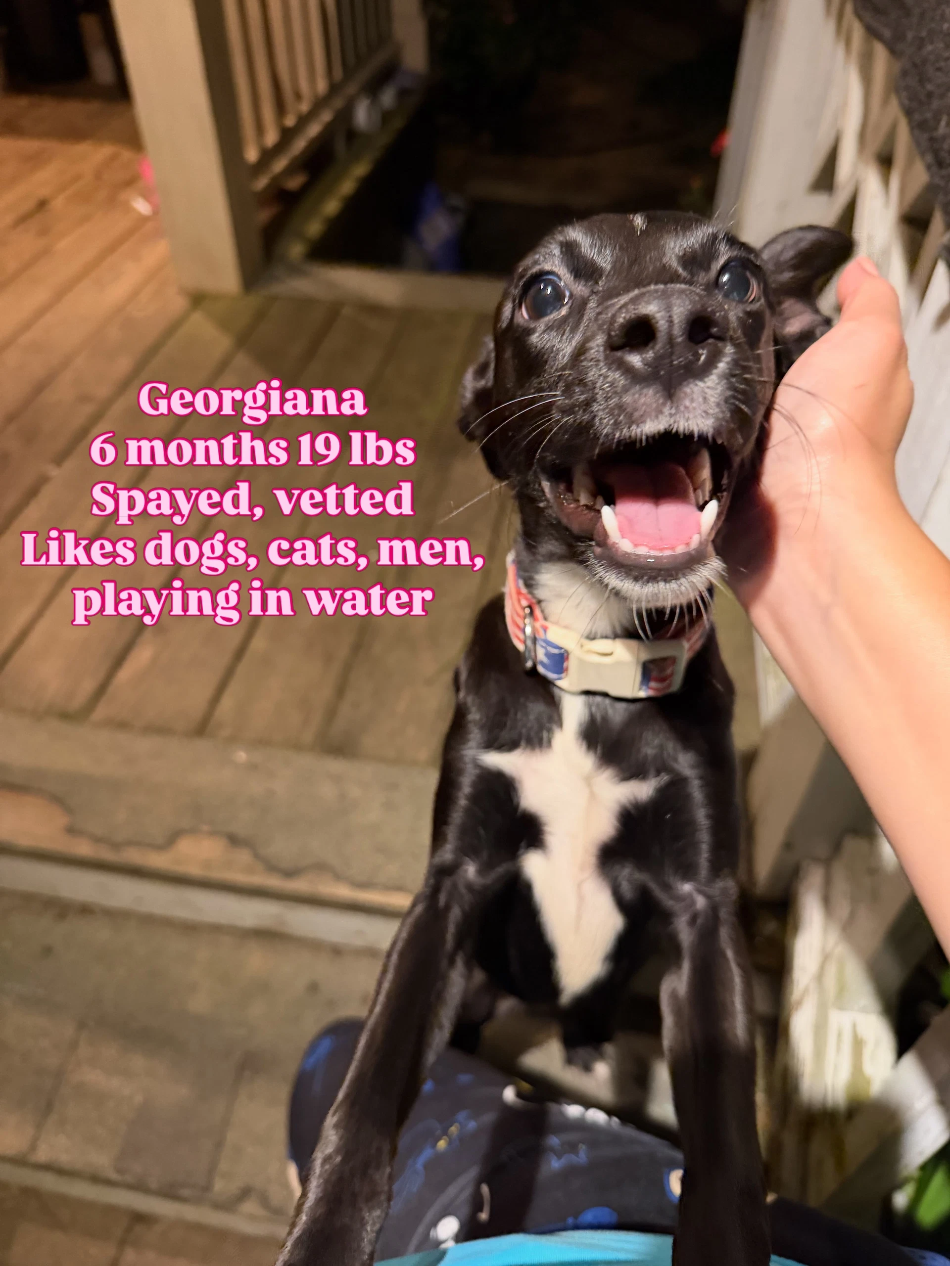 Georgiana
