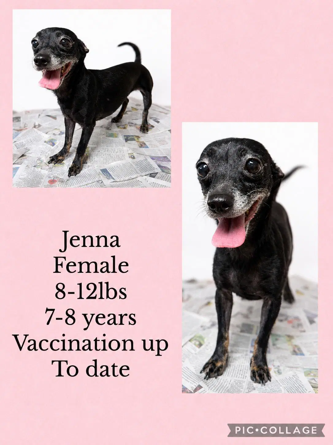 Jenna image 1