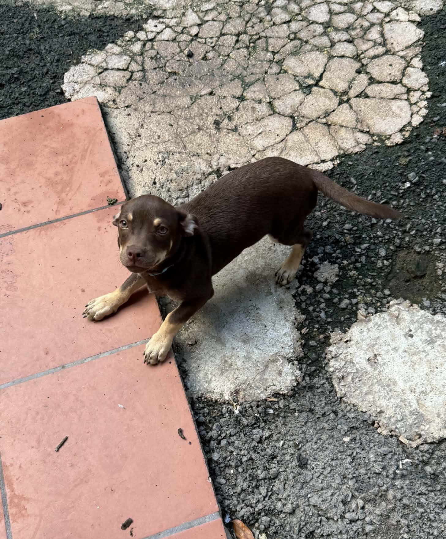 Coen, Chihuahua
