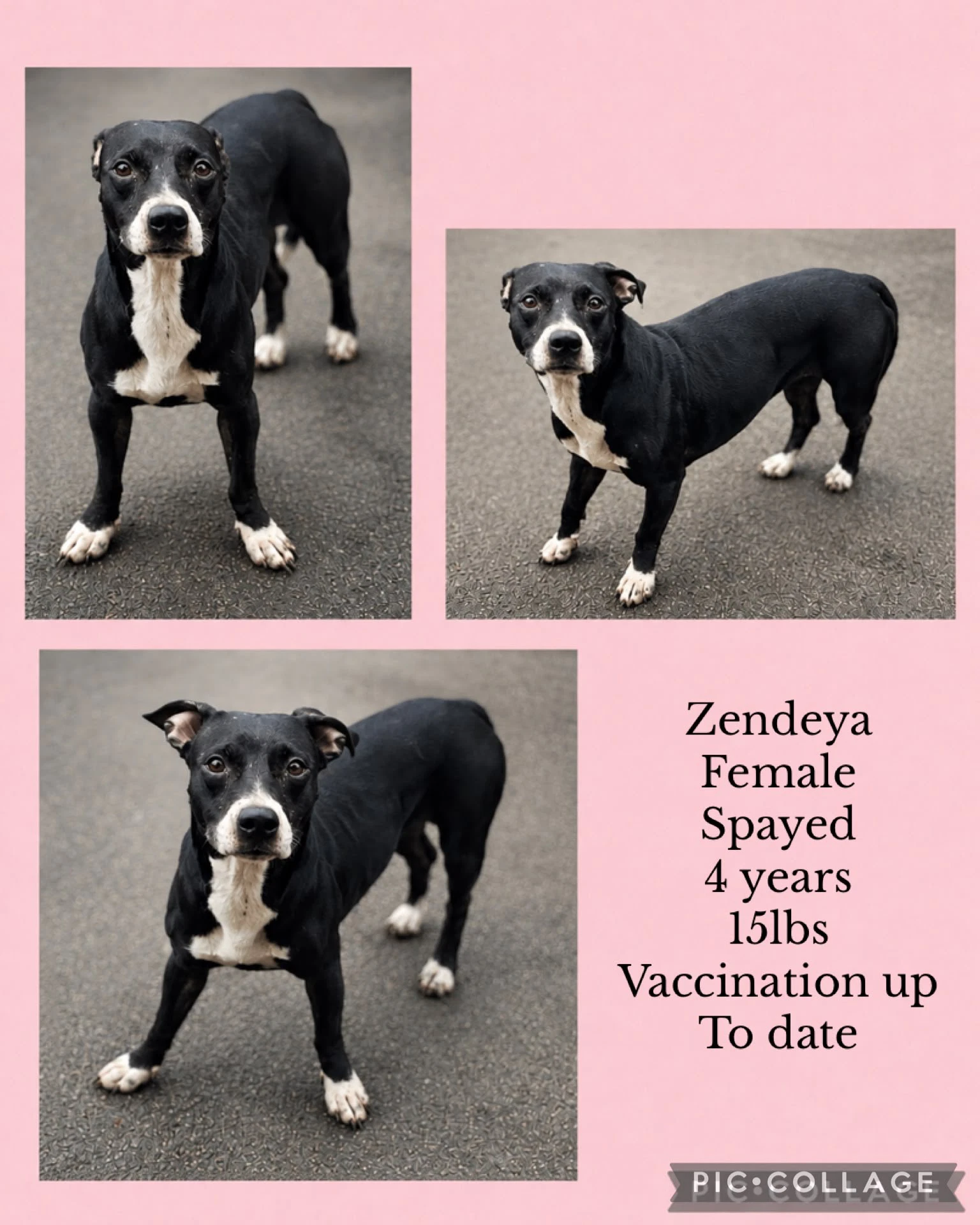 Zendeya