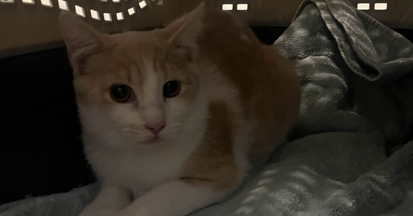 Precious