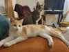 Precious - Photo 2